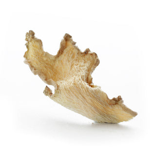 Tørkede skiver av ingefær